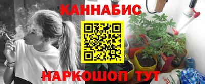 стафф Нальчик