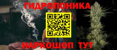 стафф Нальчик