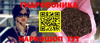 стафф Нальчик