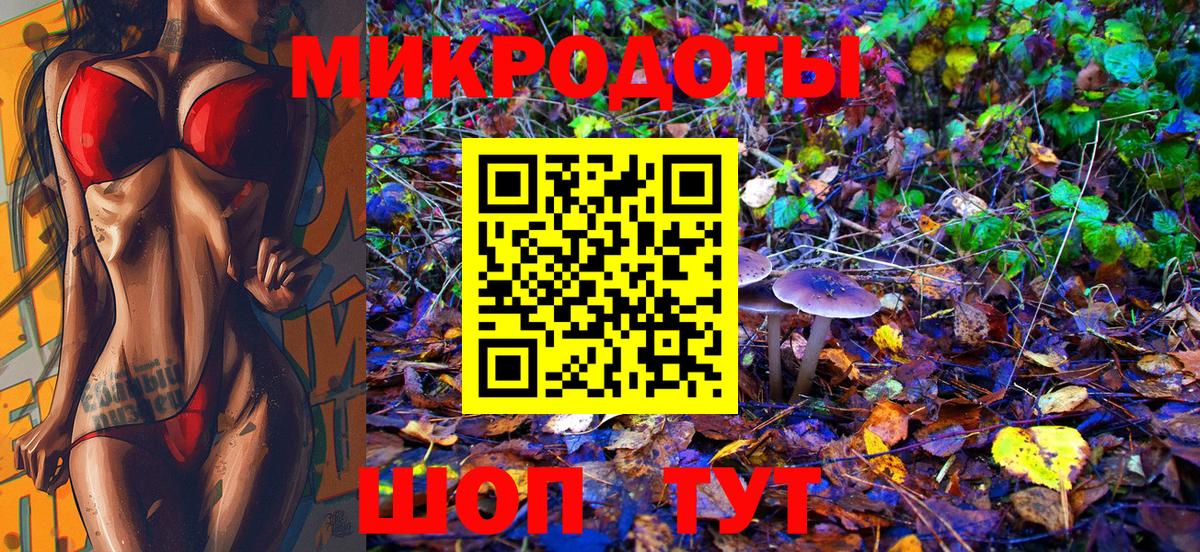 Псилоцибиновые грибы Psilocybine cubensis Гулькевичи