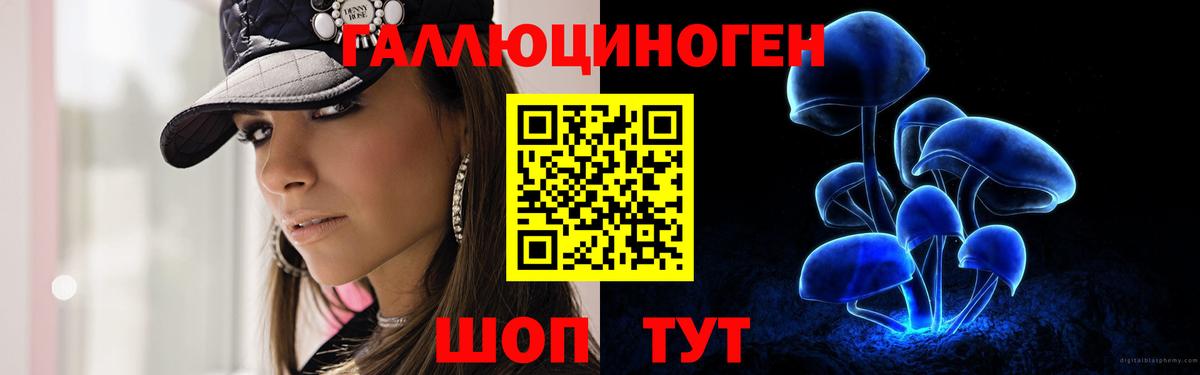где купить наркоту  Вход с VPN  Гулькевичи  Галлюциногенные грибы ЛСД 